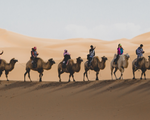 Balade à dos de chameau dans le désert de Dakhla