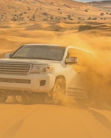 Excursion d'une Journe  Dakhla en 4x4